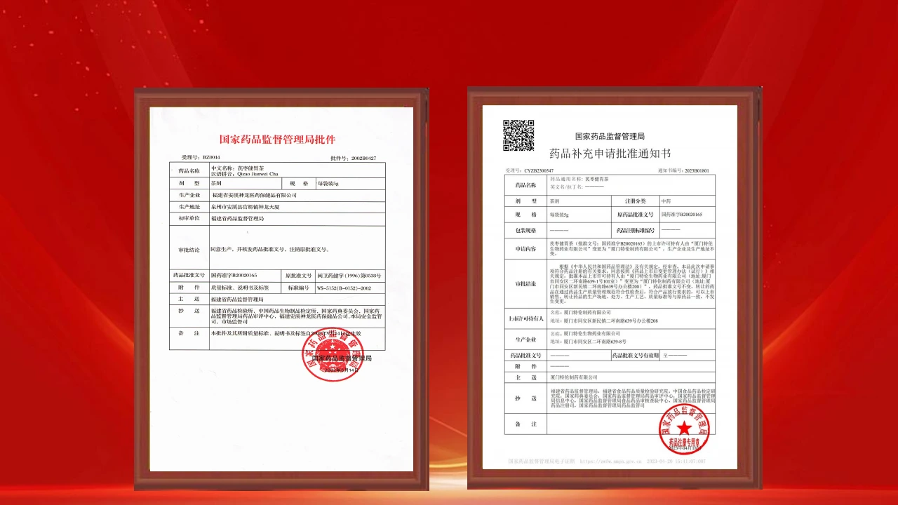 药品批准文件